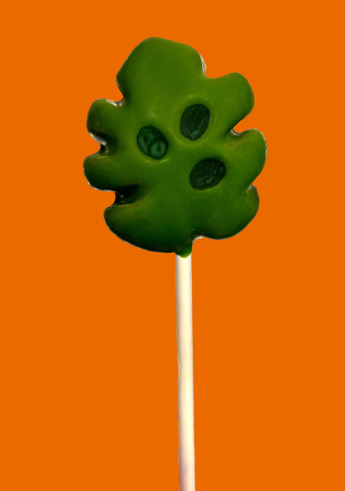 Monstera Leaf Cake Pop