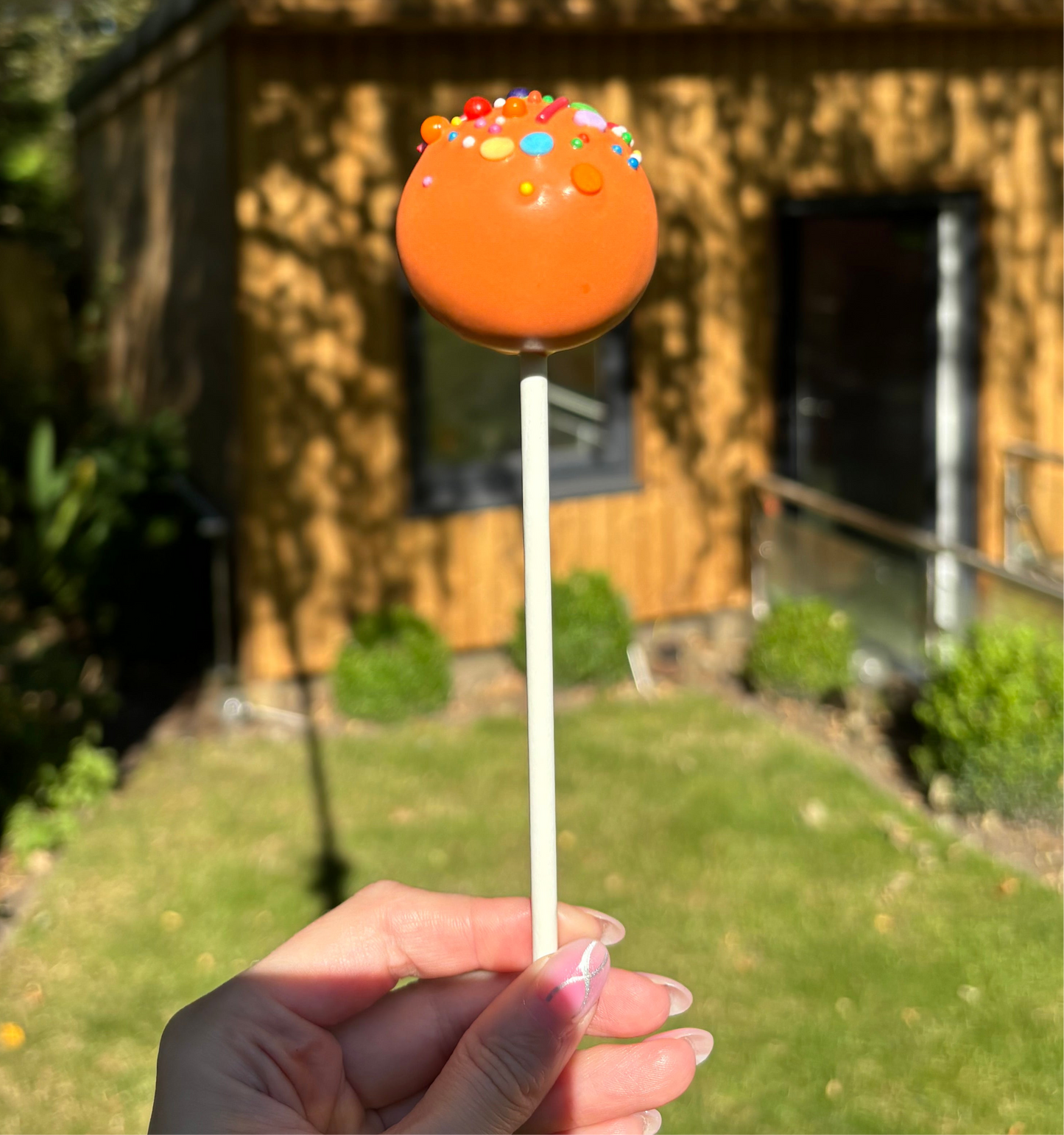 Sprinkle Cake Pop (Customisable)